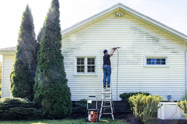 Best Affordable Power Washing  in El Monte, CA